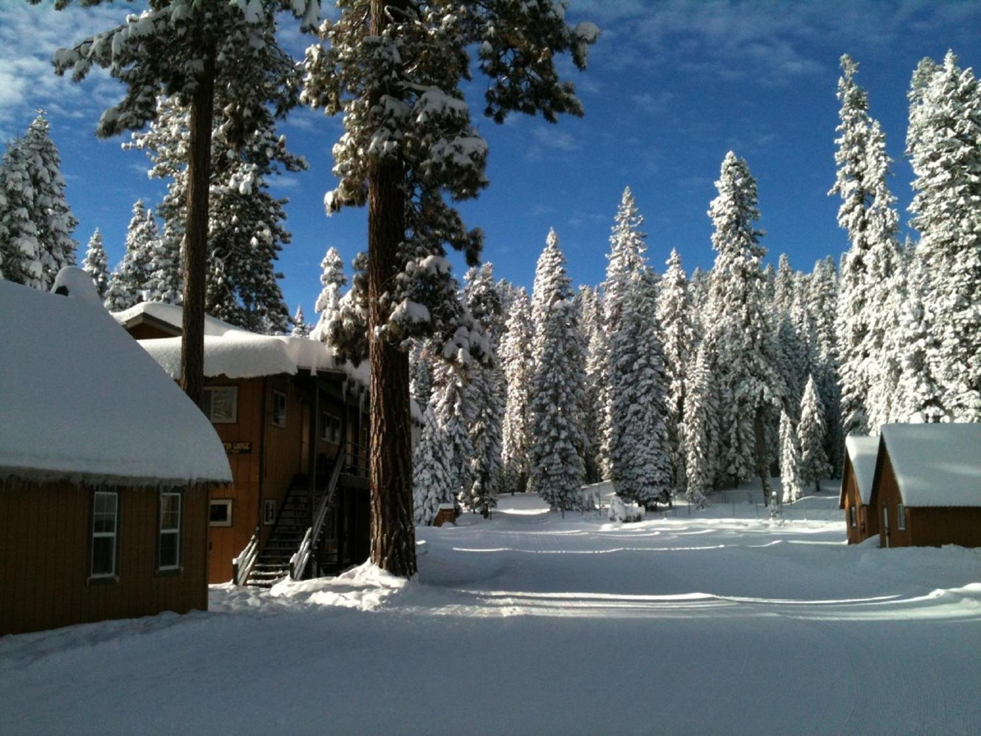 Montecito Sequoia Lodge Wilsonia Eksteriør billede